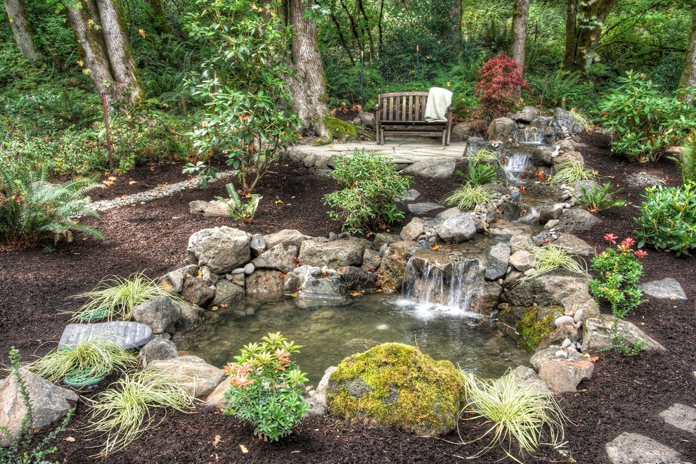 Natural Koi Pond in Edmonds, Washington. Service, Maintenance, and Repair provided by Seattle Pond and Fountain